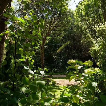 Blythcliffe Bed & Breakfast Akaroa Dış mekan fotoğraf