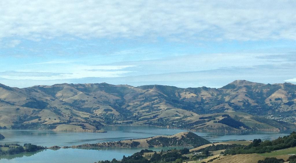 Blythcliffe Bed & Breakfast Akaroa Dış mekan fotoğraf