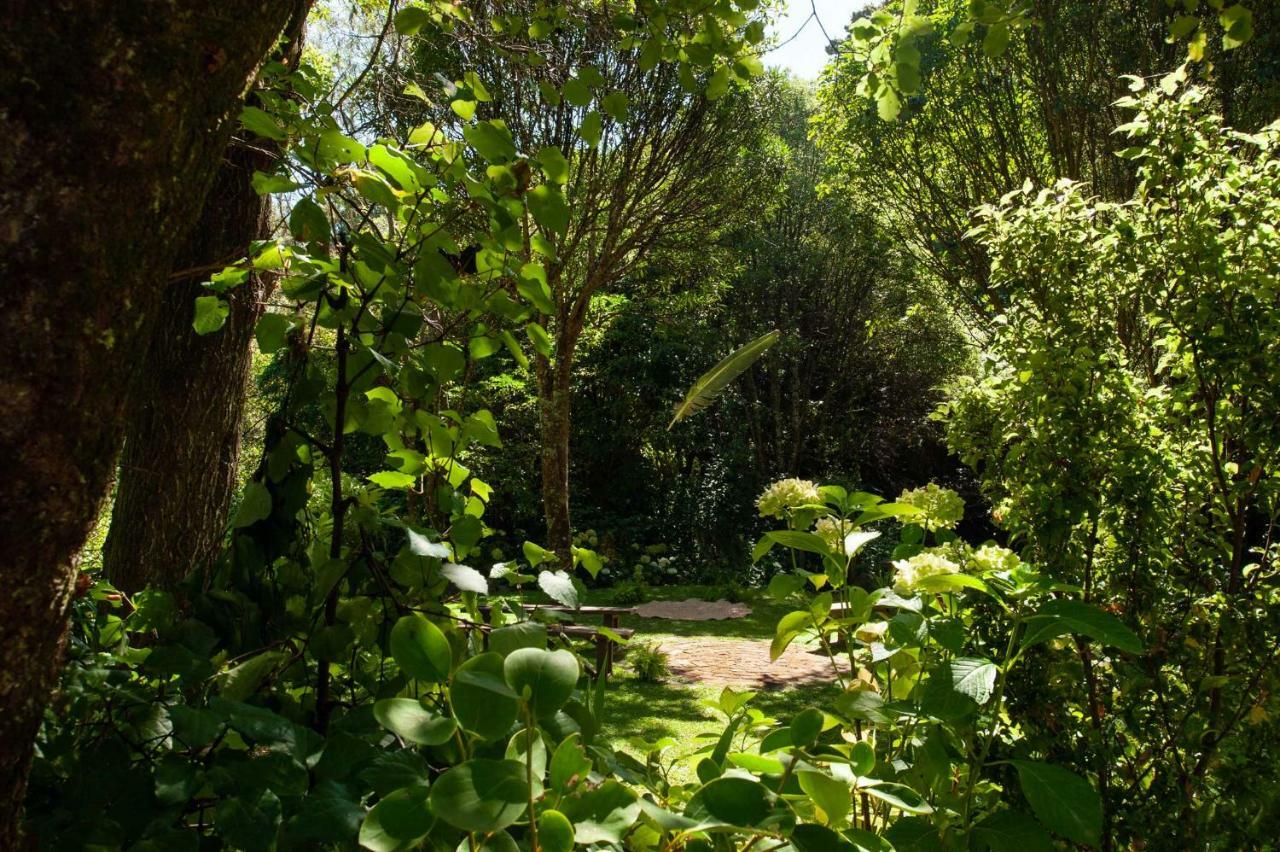 Blythcliffe Bed & Breakfast Akaroa Dış mekan fotoğraf