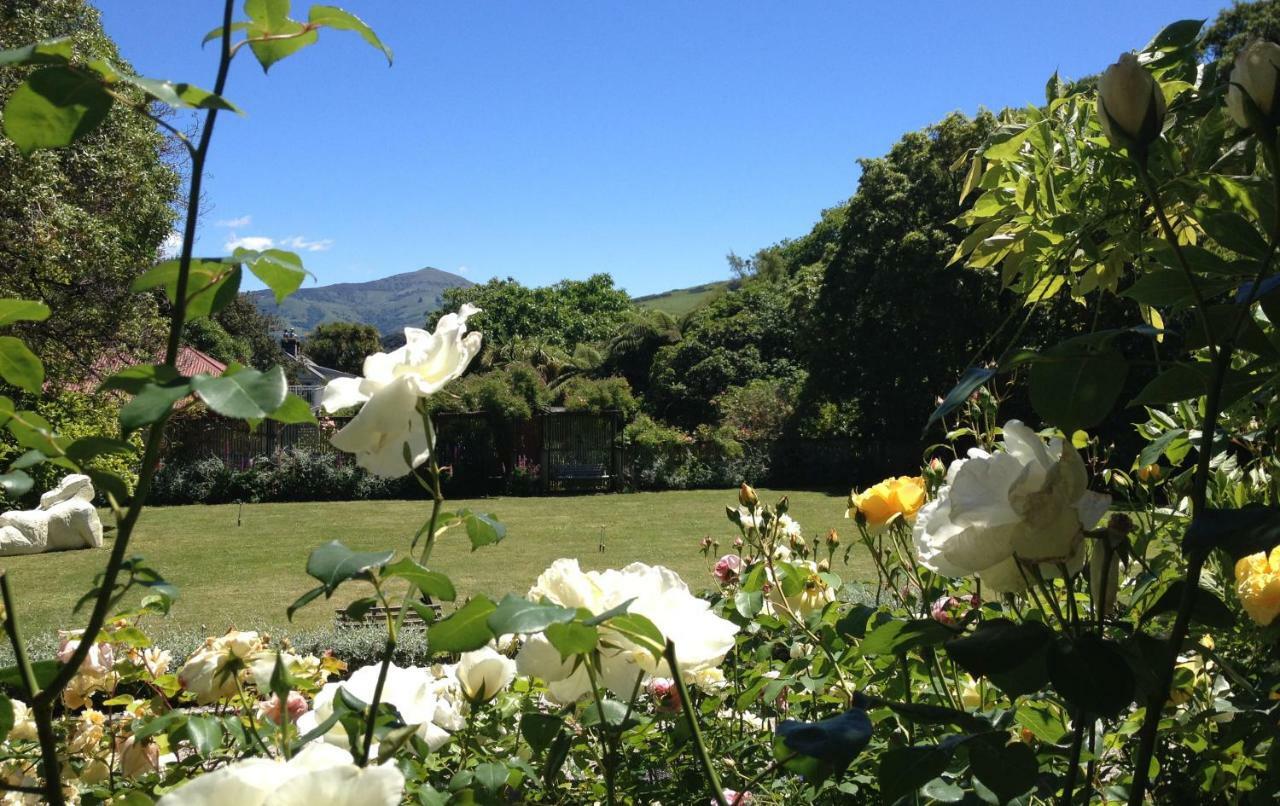 Blythcliffe Bed & Breakfast Akaroa Dış mekan fotoğraf