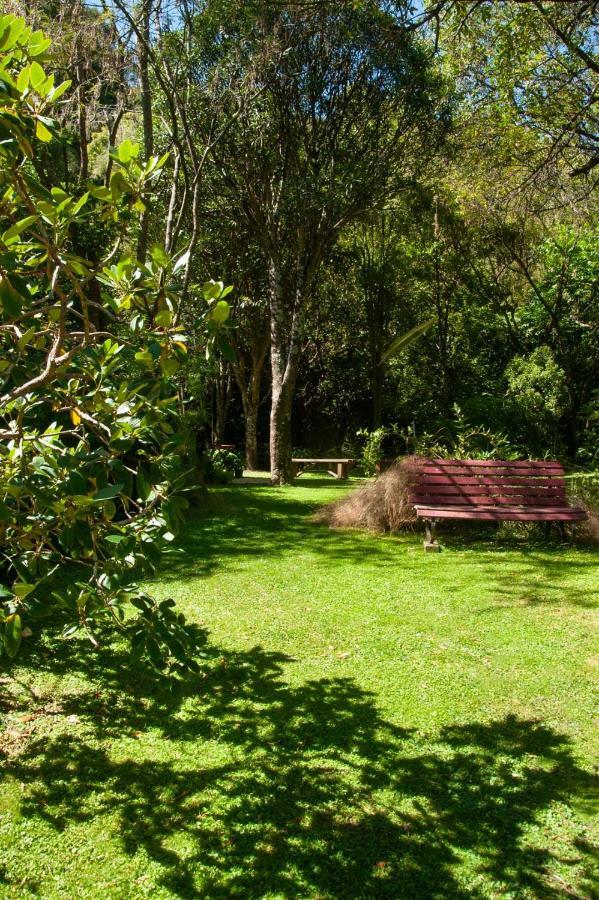 Blythcliffe Bed & Breakfast Akaroa Dış mekan fotoğraf